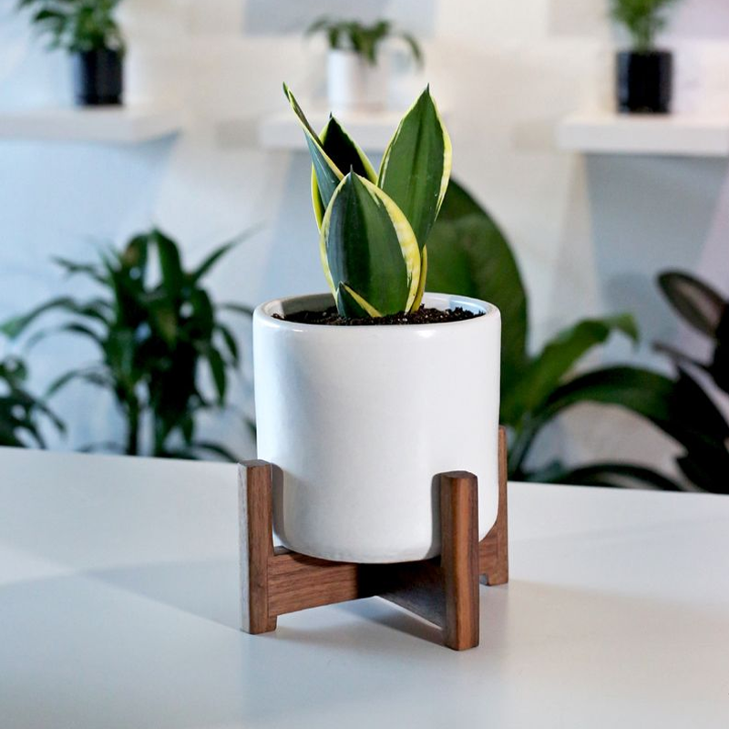 ceramic desk planter