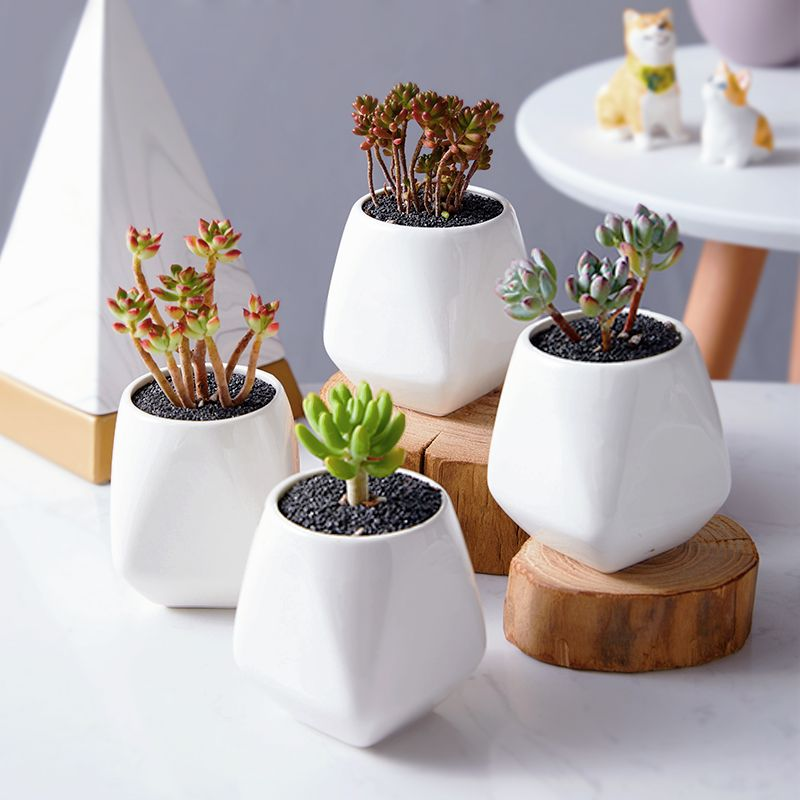 ceramic desk planter
